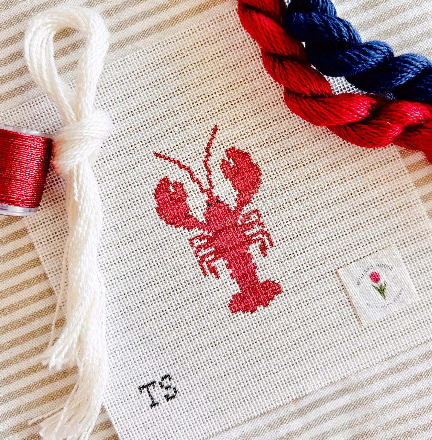 Maine Lobster